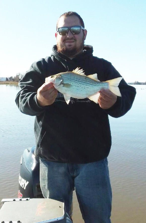 Lake Eufaula Fishing Report Sports