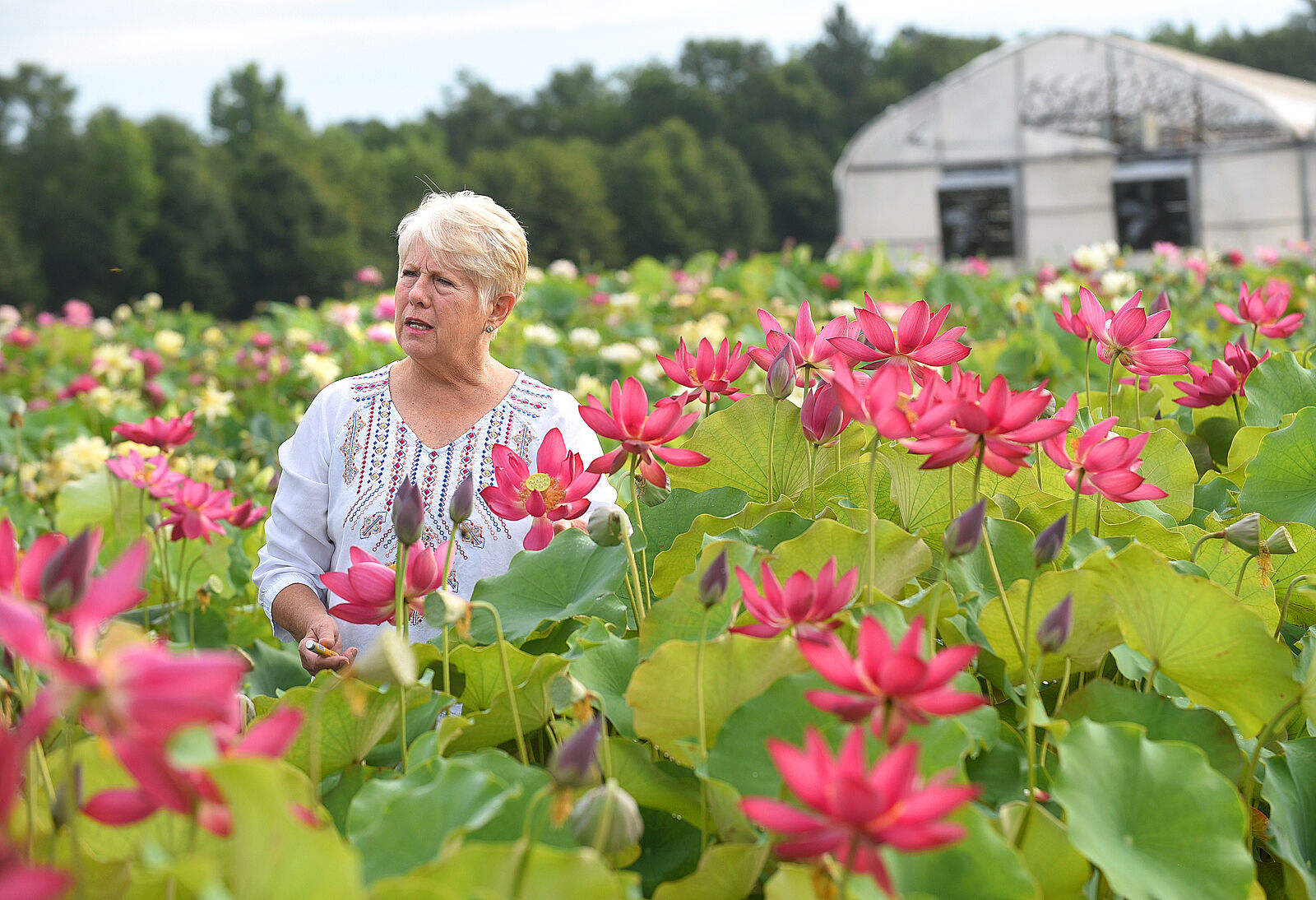 Fish to flora: Hartford's Ten Mile Creek transforms fish farm to