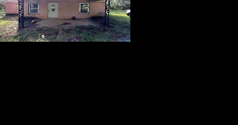 Dothan's most affordable starter homes - Vimarsana News