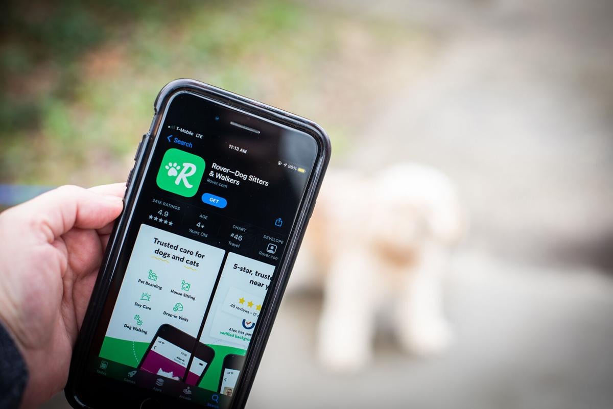 Rover dog-sitting app