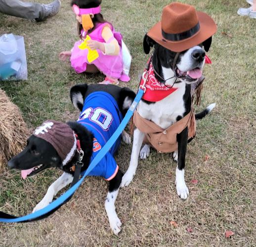 ODCHS the winner in Howloween Pet Parade, Costume Contest