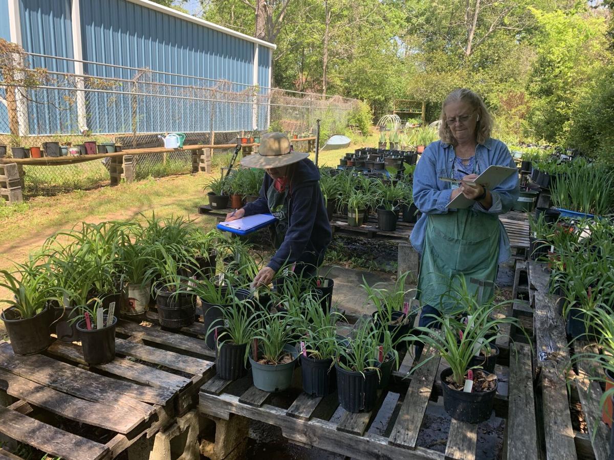 Wiregrass Master Gardeners ready for spring plant sale