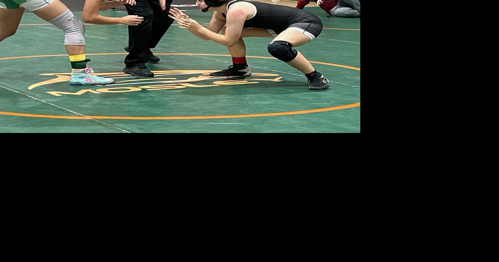 Dothan girl wrestlers win at Mosley