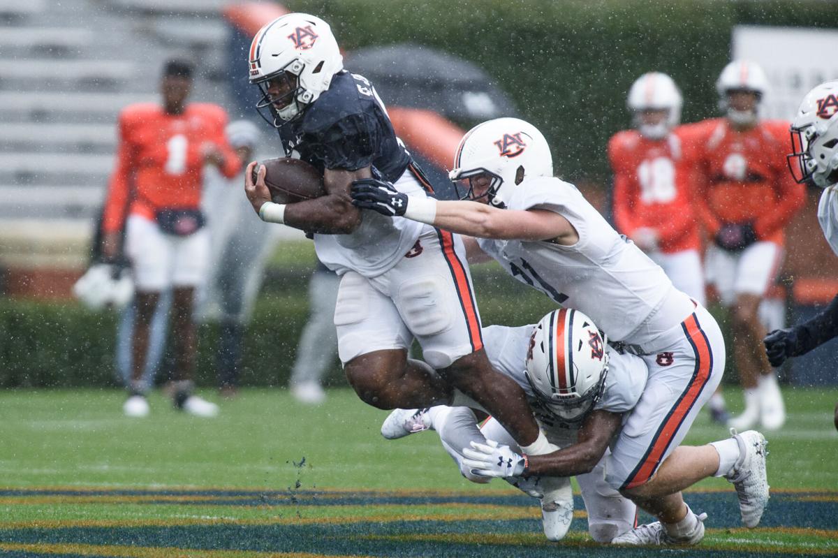Stable of Auburn running backs shines on ADay