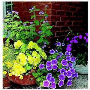 featured-image