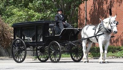 Bay Limo Adds Horse Drawn Hearse Business Dothaneagle Com