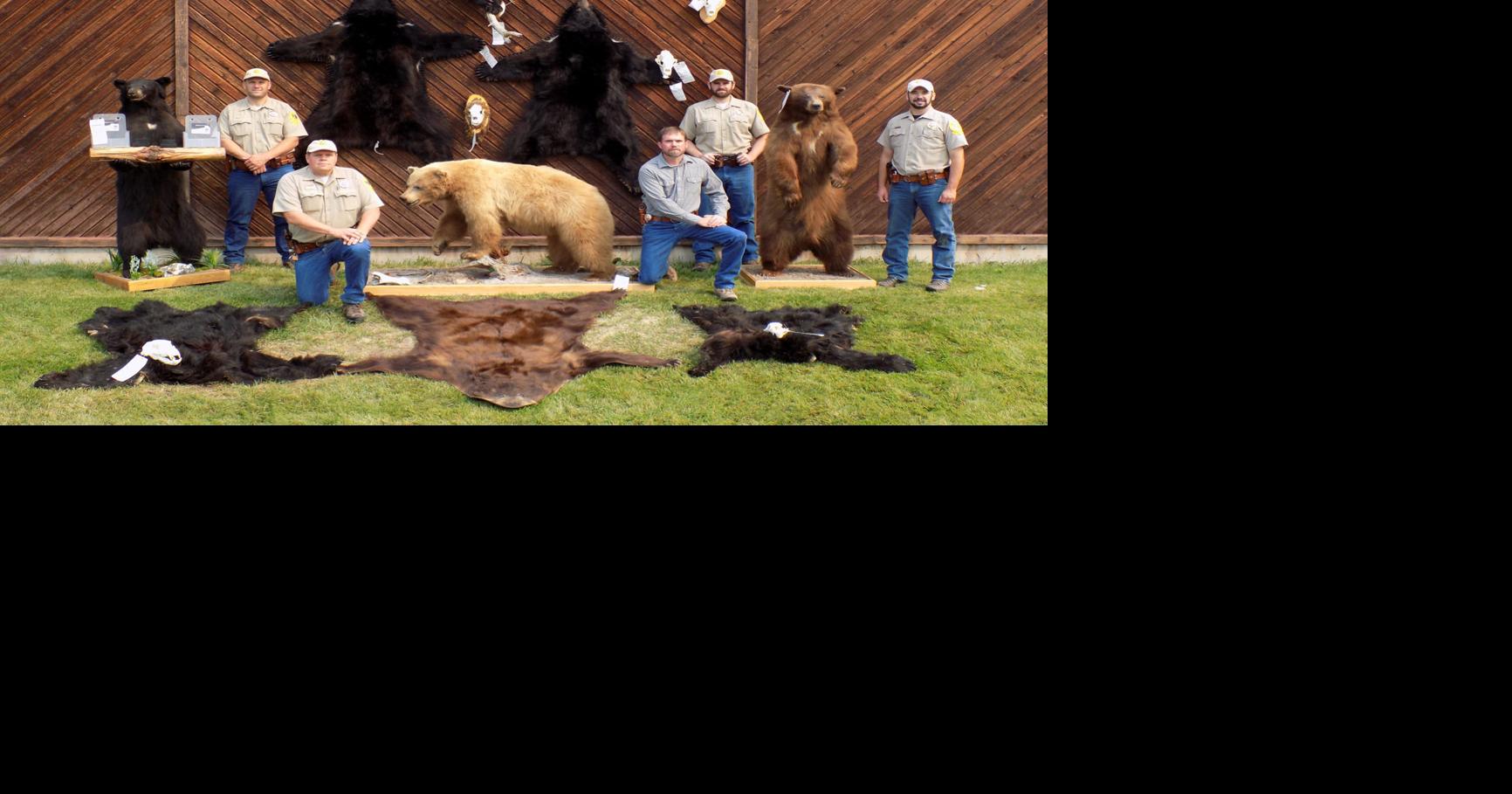 Montana’s most brazen poachers: Cases that stunned game wardens and courts