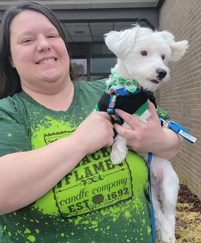 Winner of 2024 St. PAWtrick's Day Costume Contest