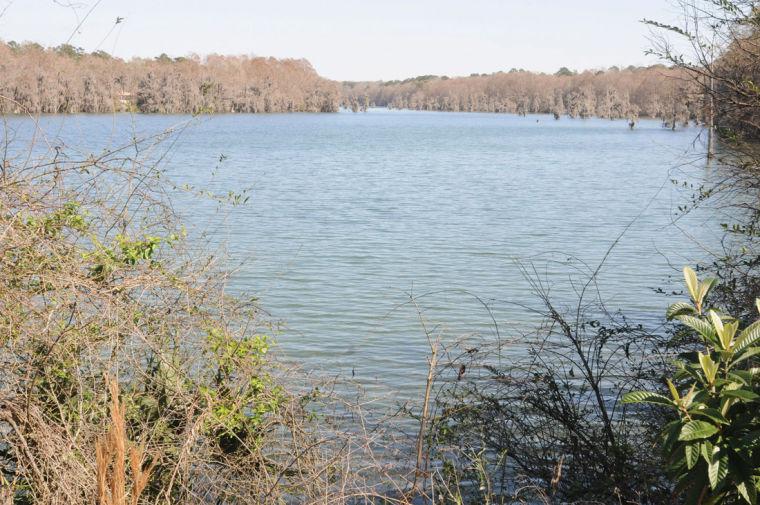 Merritt’s Mill Pond