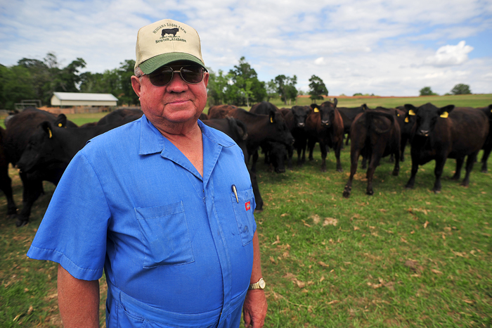 Cattle a way of life for Newton farmer