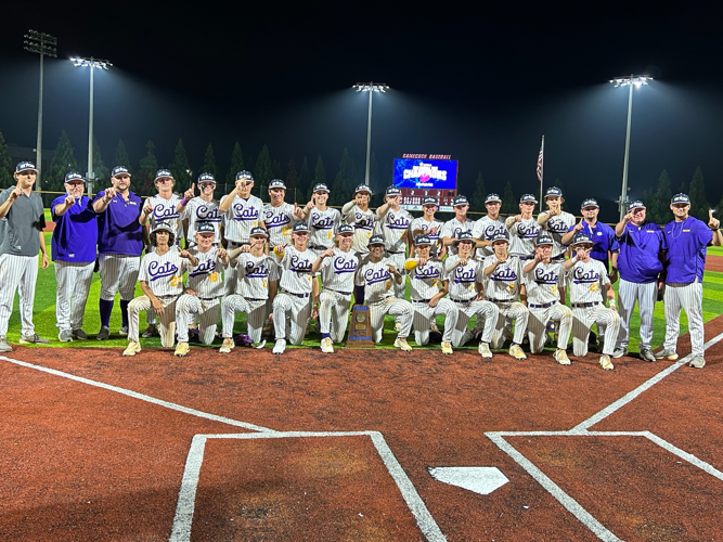 Jackson baseball earns district title in walk-off fashion, beating