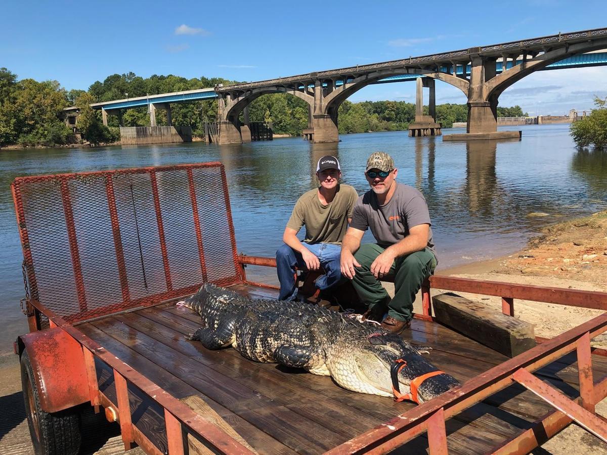 A Tale Of Two Gators Buddies Capture Two Big Reptiles On Apalachicola River News Dothaneagle Com