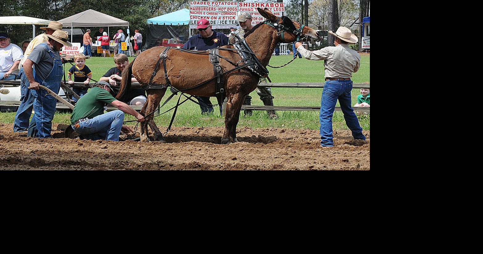 Spring Farm Day celebrates agricultural history