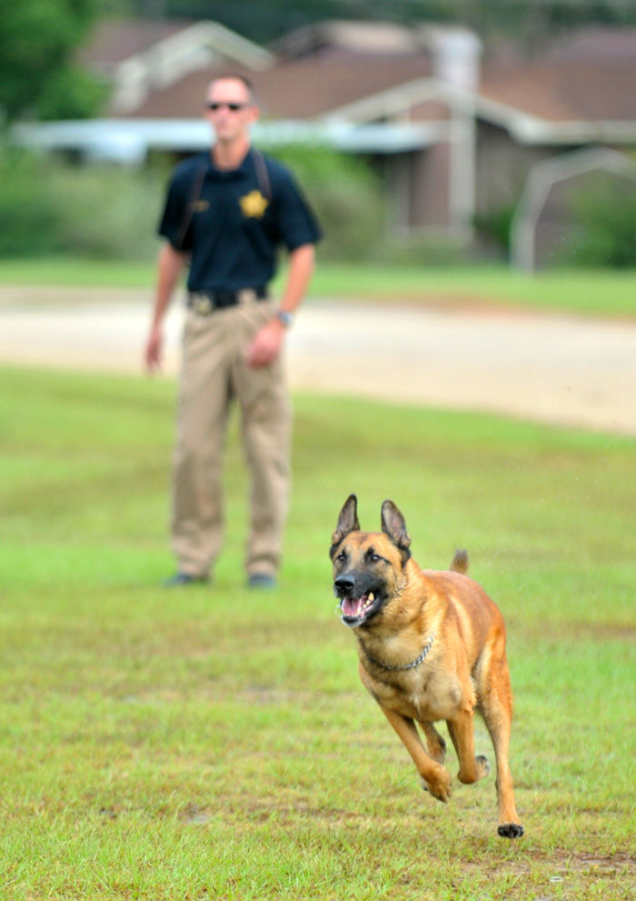 Houston County Sheriff’s Office gets K9 with Middle East record