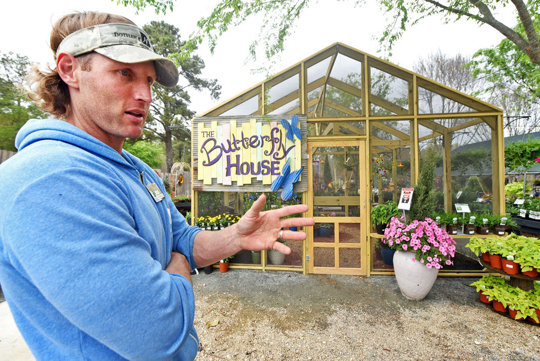 Butterflies enchant all ages Local