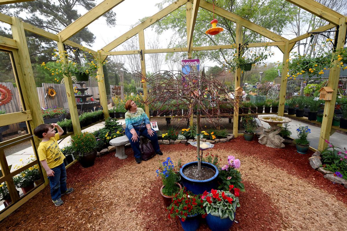 Butterflies enchant all ages Local