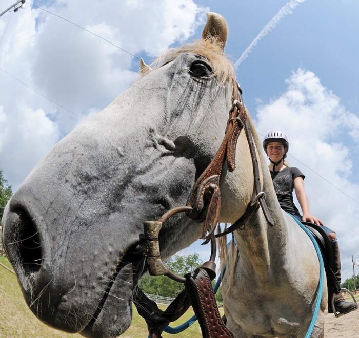 A horse is a horse but riding stables is one of a kind