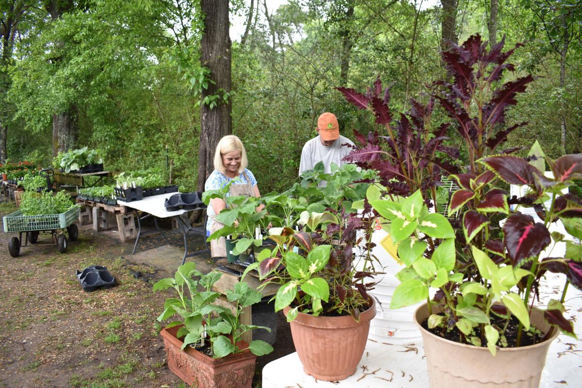 Groups alter plant sales due to COVID-19 outbreak