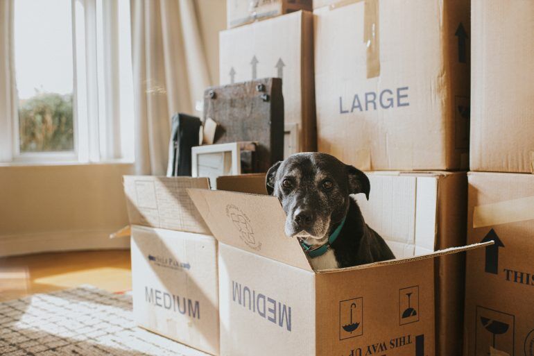 Figuring out your priorities can help you decide whether selling to an iBuyer could work for you.