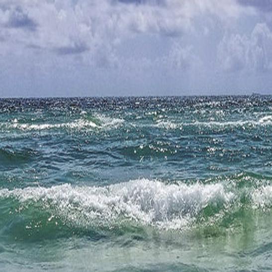 Flower Delivery Panama City Beach Florida Best Flower Site