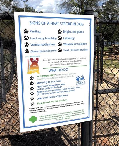 Girl Scout earns highest honor for dog park project in Enterprise