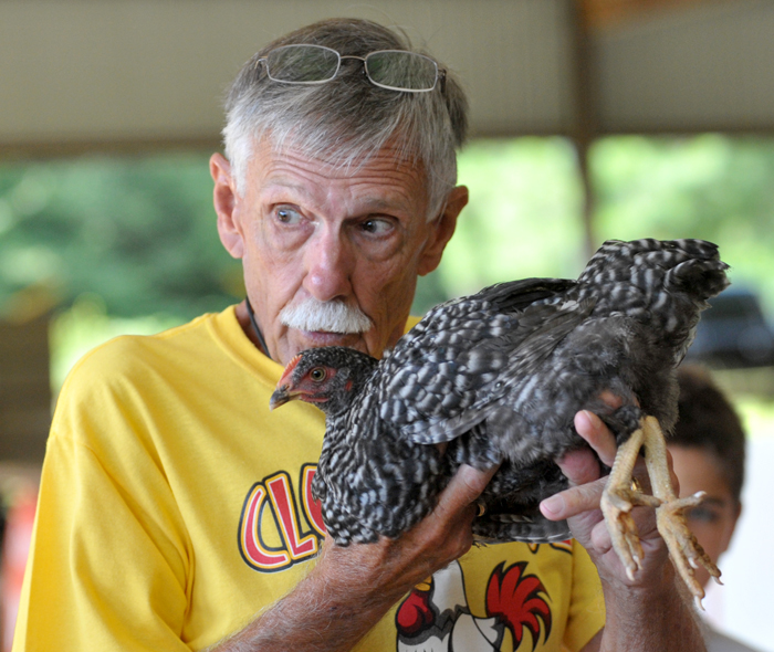 Students Learn Responsibility From Taking Care Of Chickens