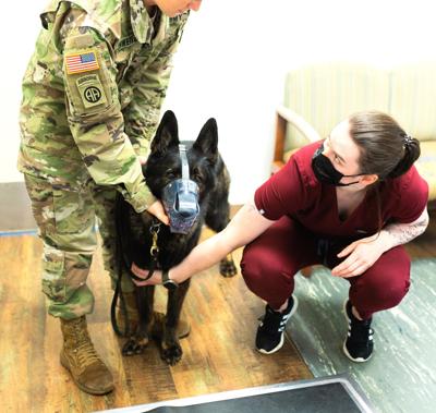 Big hearts for furry patients: Fort Novosel Veterinary Treatment Facility