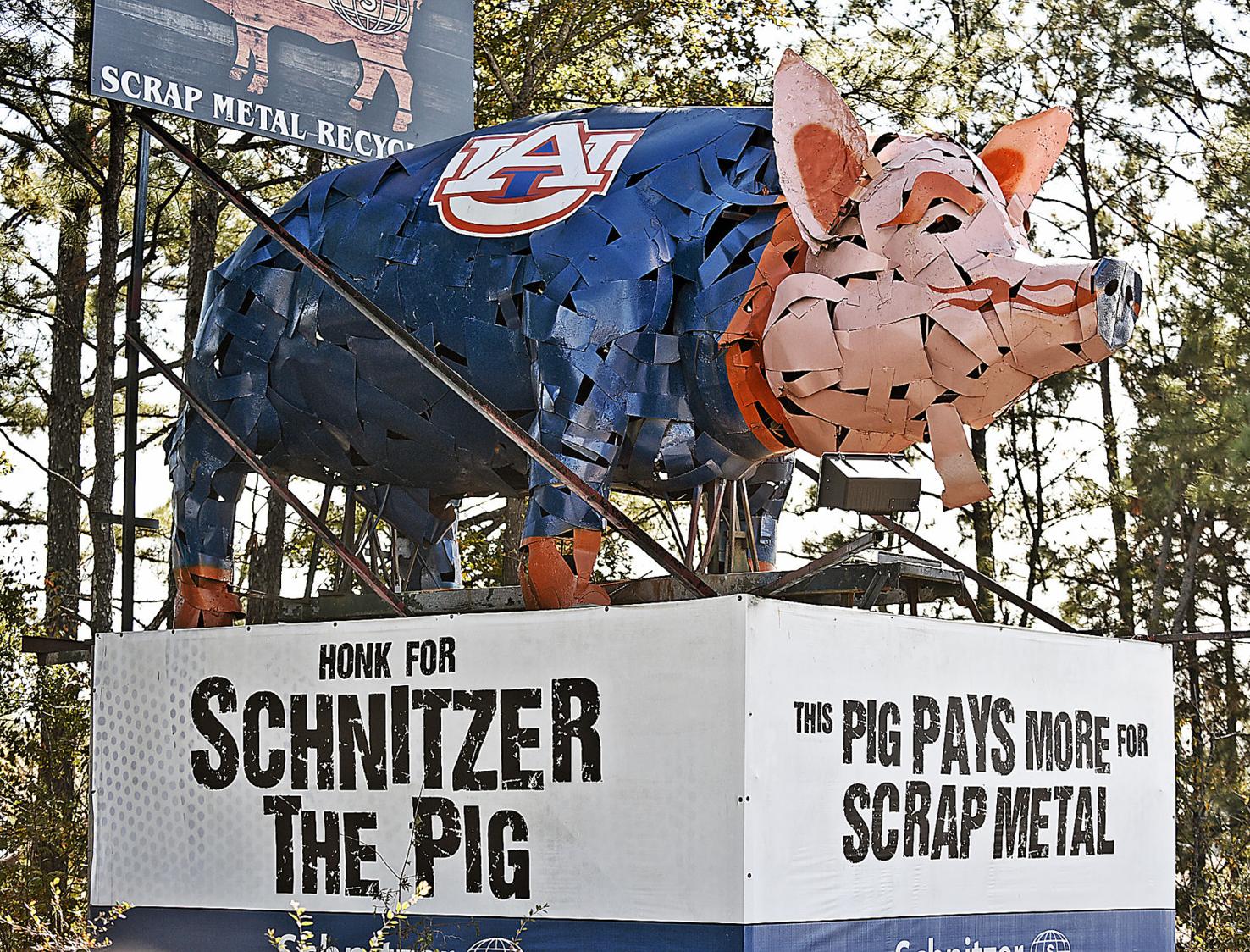 Answer Man What's the story behind the pig sculpture?