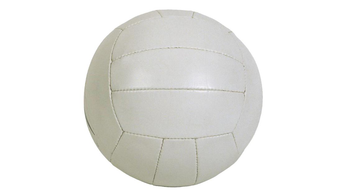 DothanEagle.com - Volleyball roundup: Rehobeth beats Carroll in return to court image
