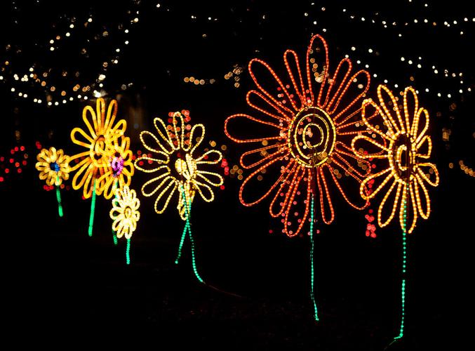 Christmas lights in DeFuniak Springs