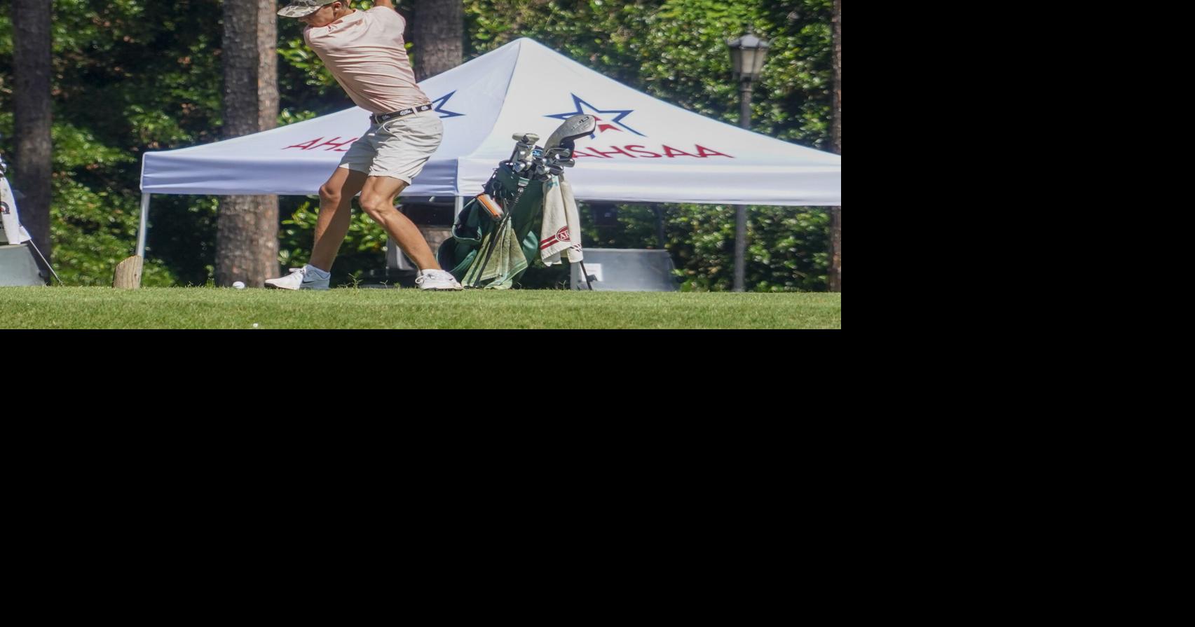Elba’s Jay Wilson and Houston Academy’s Mac Steltenpohl left the golf course Tuesday as individual AHSAA state champions.
