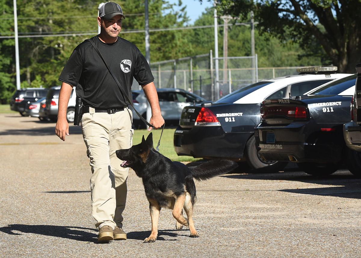 Law enforcement searches often go more quickly with K-9, horse partners