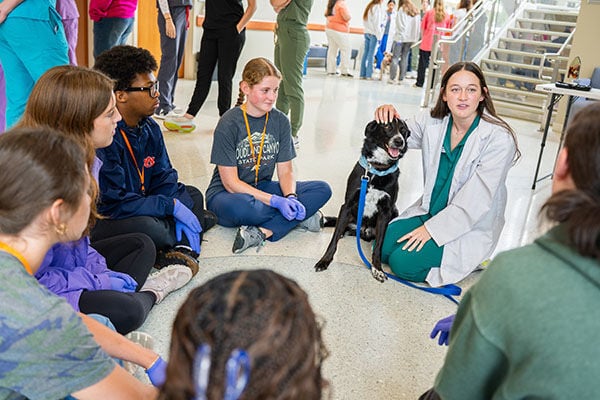 Living the dream: Vet Camp alumna shares passion with 2026 campers