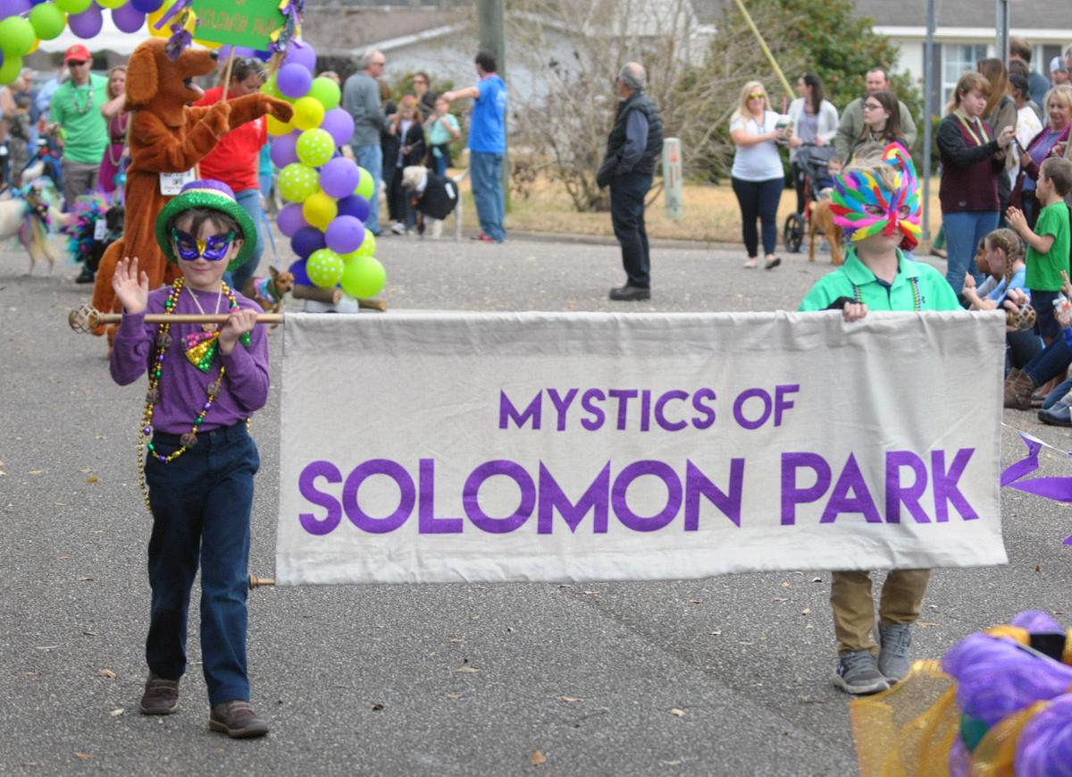 Mystics Of Solomon Park Parade Lets Kids Pets Celebrate Mardi