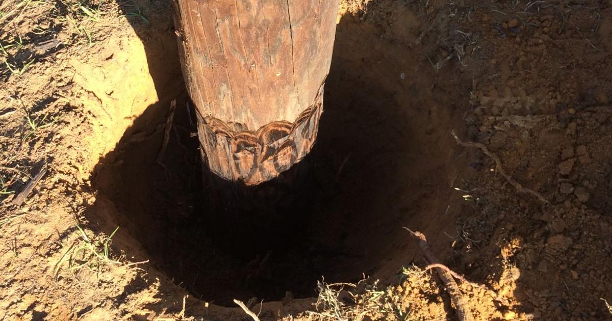 Pole Rot Answer Man: Wood utility poles inspected regularly for decay