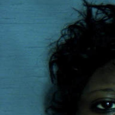 Houston County Arrests Jan 2 3 Arrest Galleries Dothaneagle Com