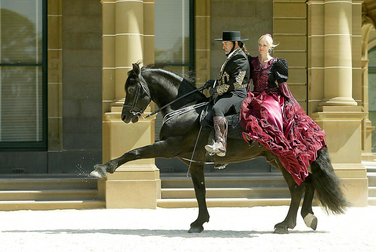 Royal horses headed to Dothan Local