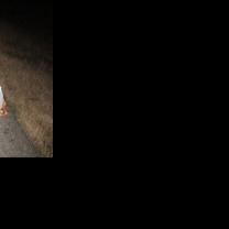 Here's how one routine traffic stop in Ozark yielded 81 gallons of moonshine: