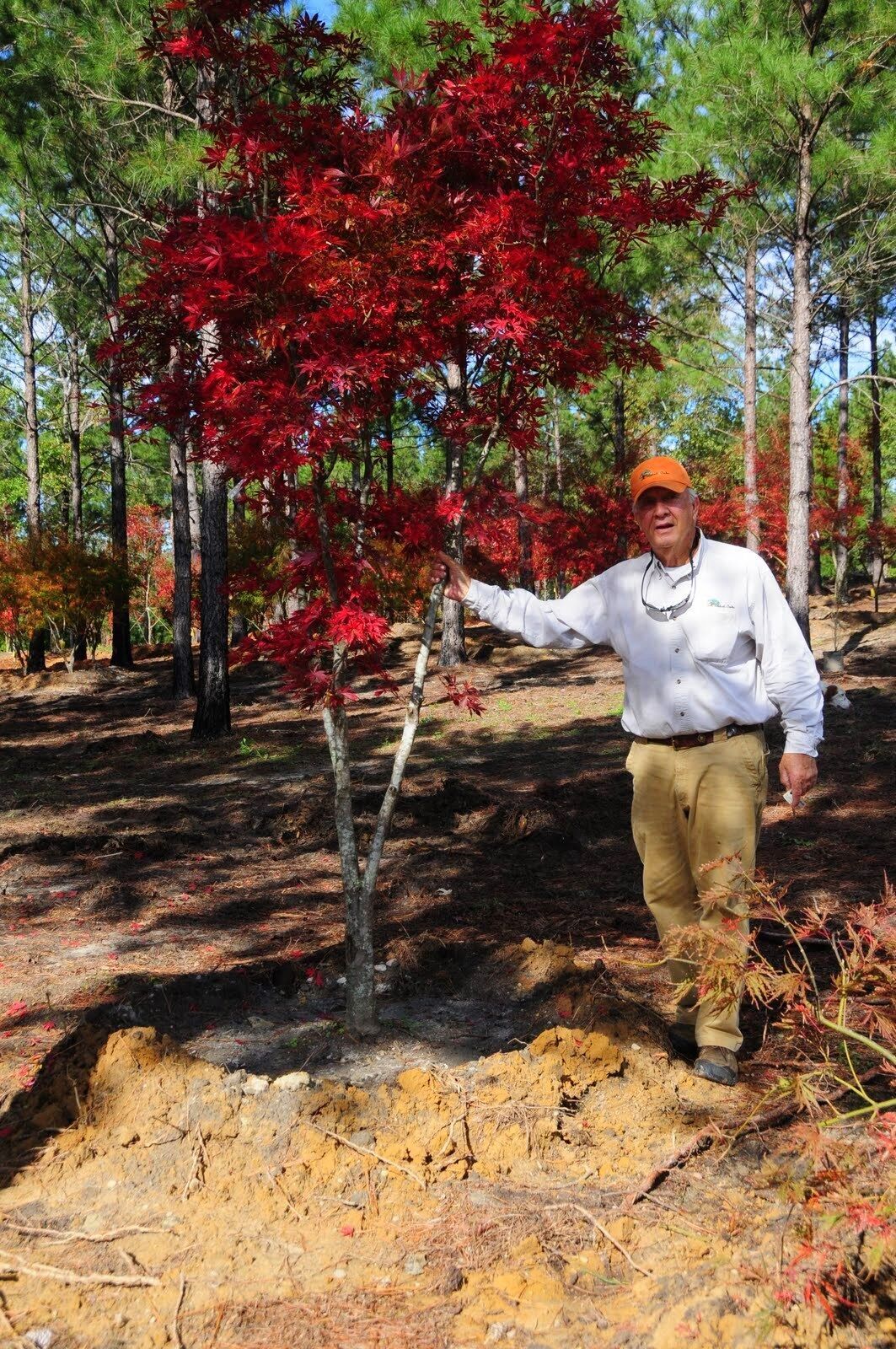 Pat Dye's Crooked Oaks Farm Donated To Auburn University