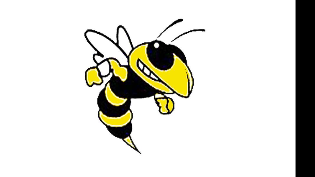 DothanEagle.com - Abbeville crushes Thorsby in Class 2A playoffs image
