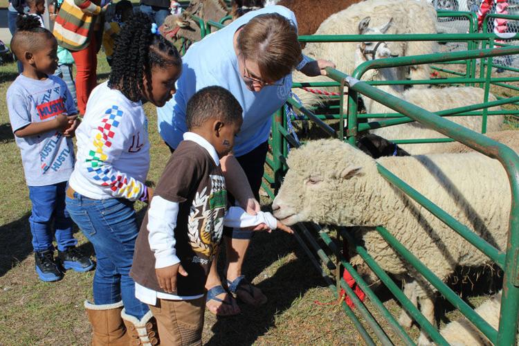 Early Learning Center Fall Festival/Petting Zoo