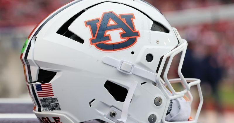 auburn football helmet and puppies pri t Cheer On With This Adorable Tigers Flat Ornament  GLORY HAUS White HELMET DETAILS Auburn Tigers Football Helmet -