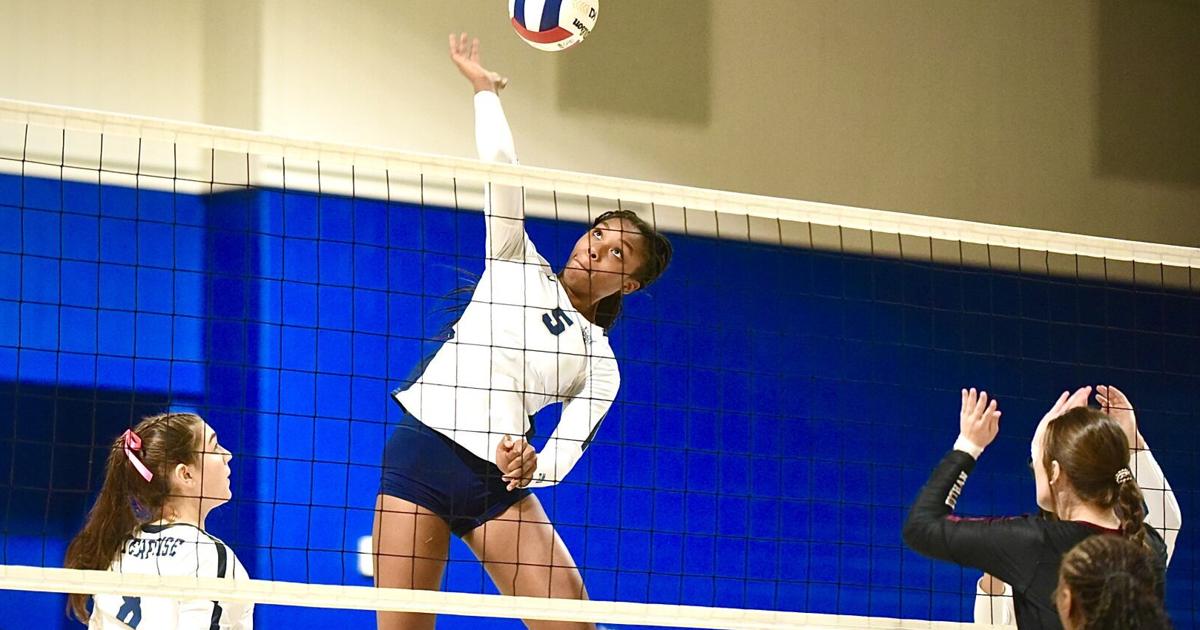 DothanEagle.com - Enterprise volleyball dominates Dothan in region title match as Holtz reaches milestone image