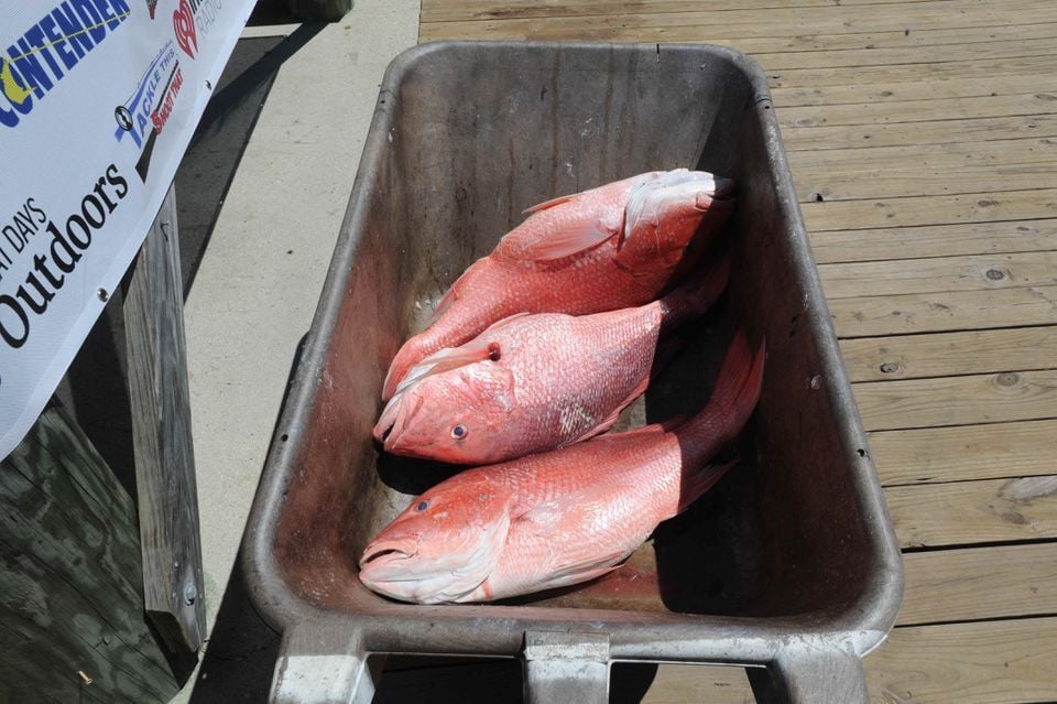 Red snapper frustrations boil over in Alabama as feds place strict limits  on 2023 season