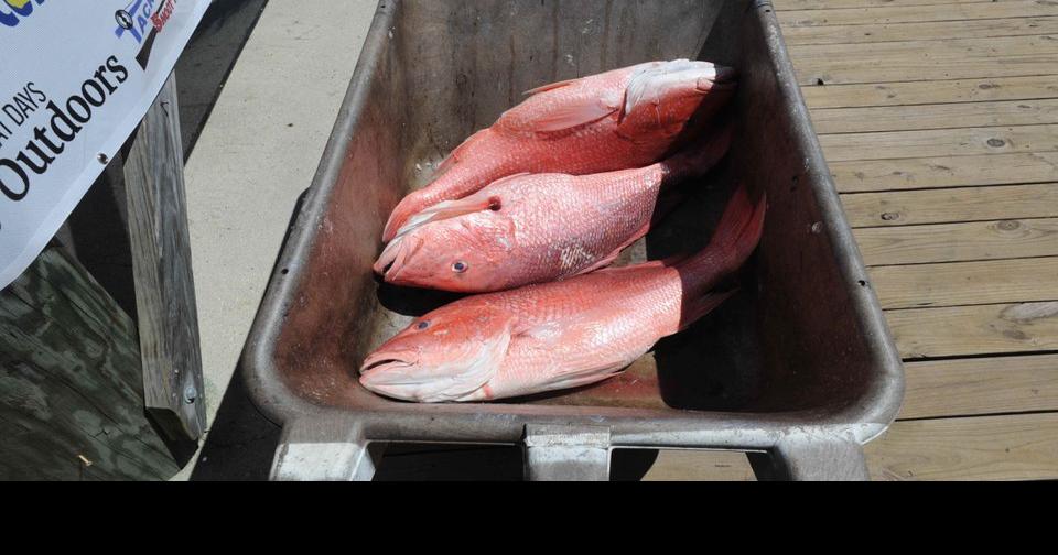 Red snapper frustrations boil over in Alabama as feds place strict