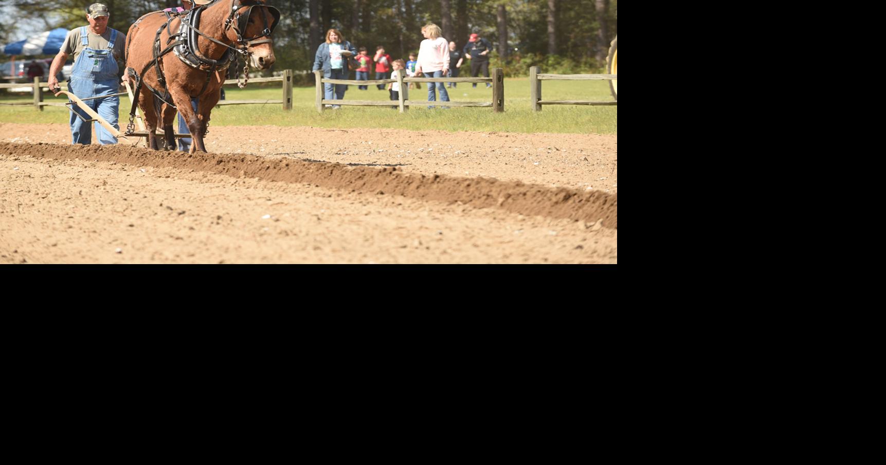 Spring Farm Day held at Landmark Park