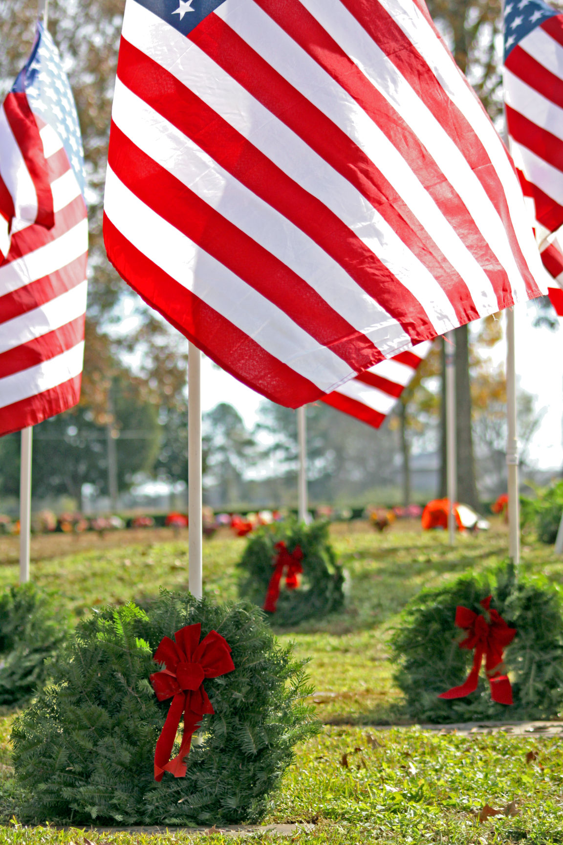 Wreaths Across America observed in Enterprise News
