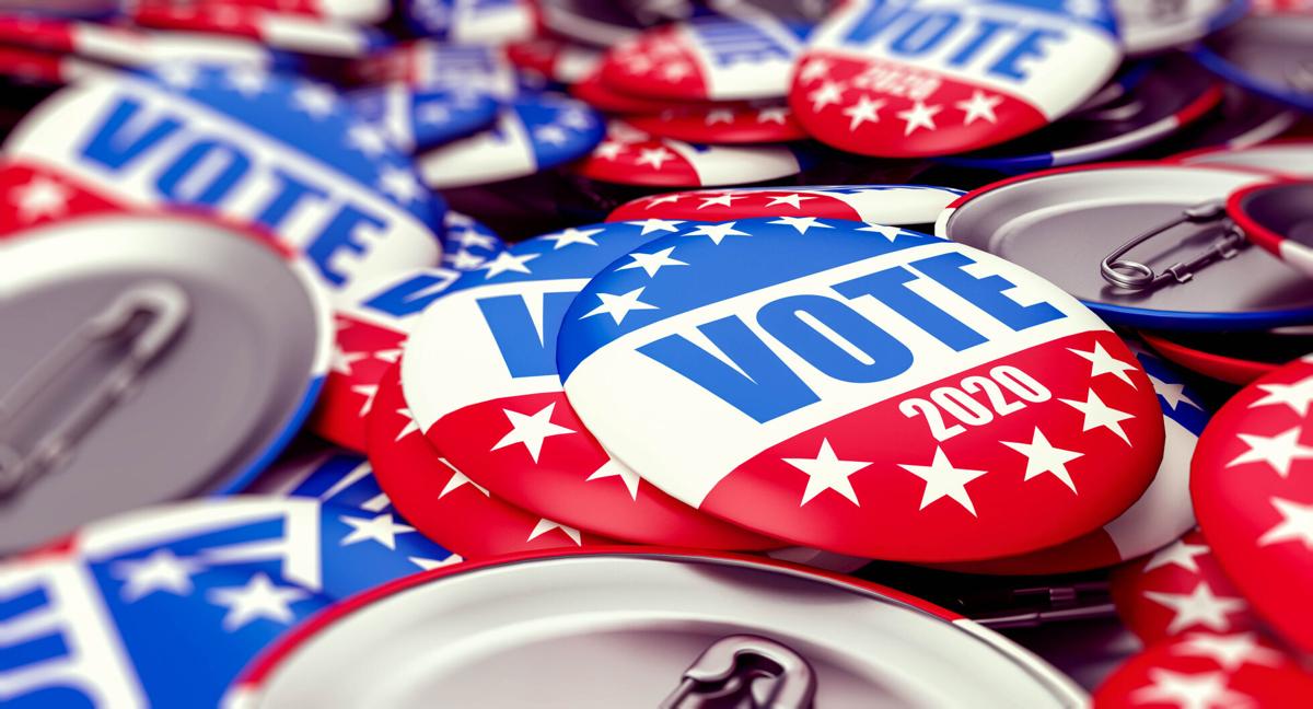 Voting in 2020 general election