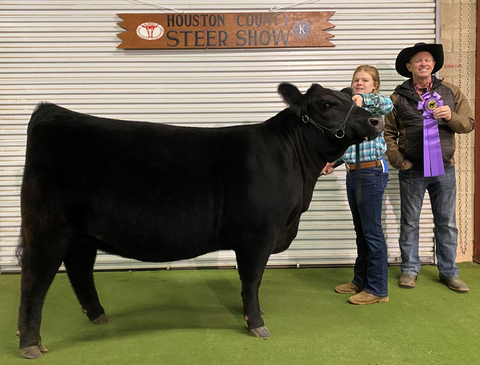 beef cattle shows 