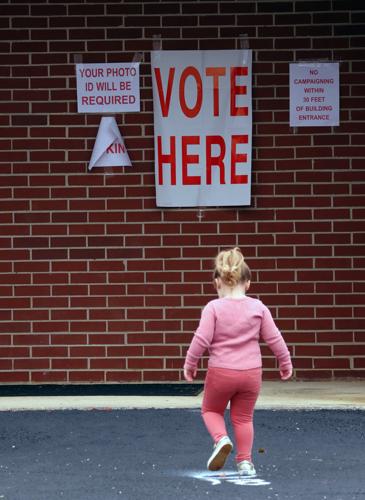 Voters in the Wiregrass turn out for Super Tuesday
